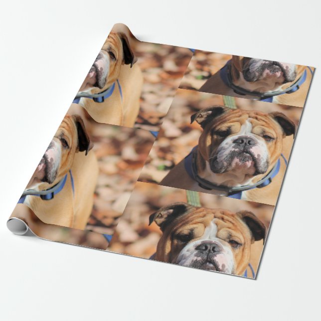 Buddy Bulldog Wrapping Papper Presentpapper (Utrullad)