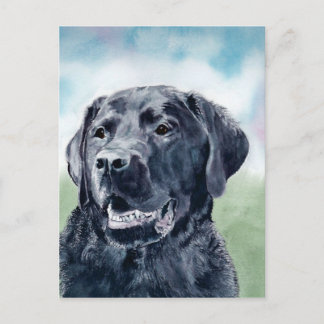 Buddy Lab Vykort