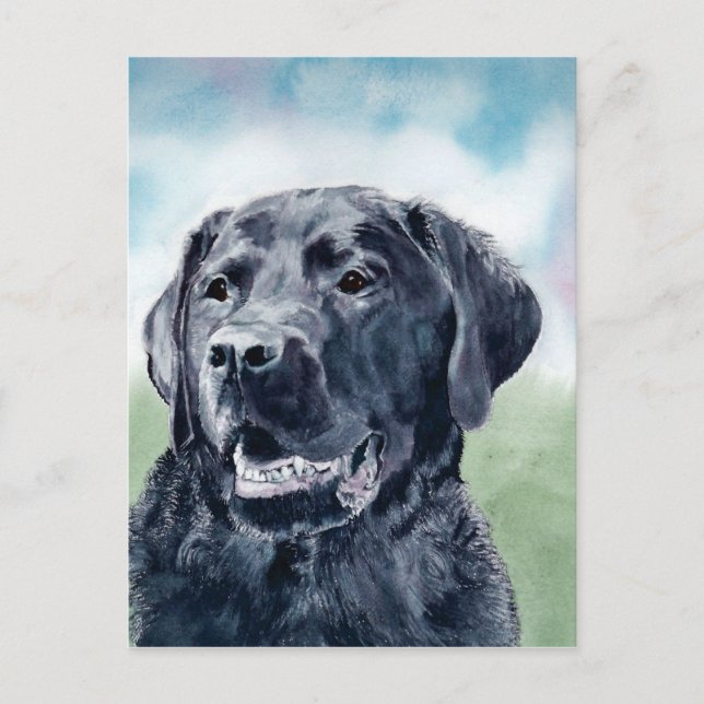 Buddy Lab Vykort (Framsida)