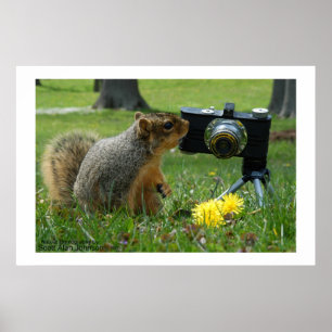 Buddy The Squirrel och hans kamera Poster