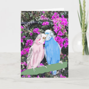 Budgerigar and Bourganvillia Helgkort