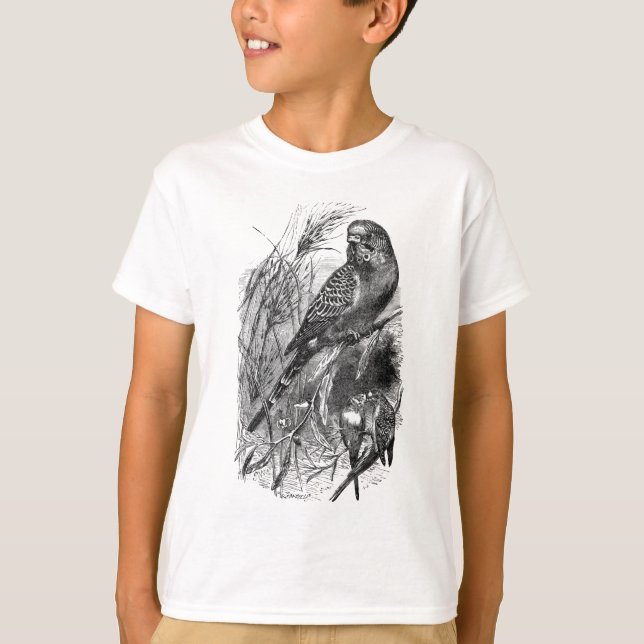 Budgerigar (budgie, parakeet) t shirt (Framsida)