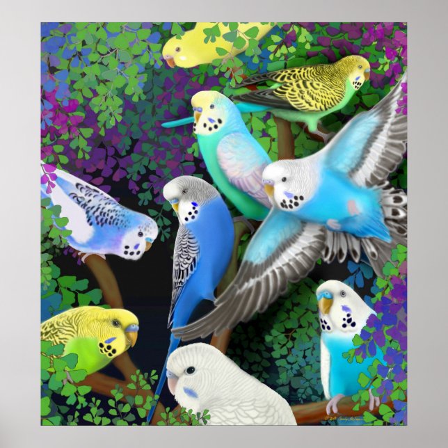 Budgerigars Poster i Ferns (Framsidan)