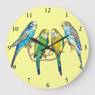 budgerigars stor klocka