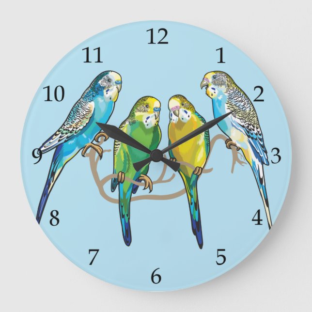 budgerigars stor klocka (Framsida)