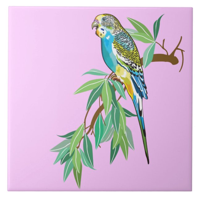 budgerister kakelplatta (Framsidan)