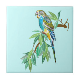 budgerister kakelplatta