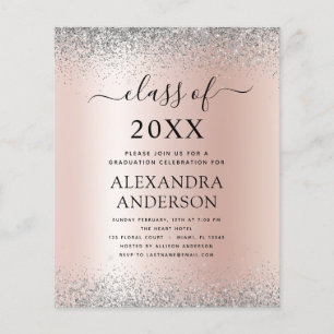 Budget 2023 Studenten Guld Rosa Silver Flygblad