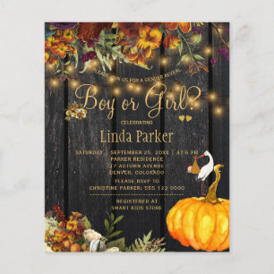 Budget baby shower könsbestämning inbjudan flygblad