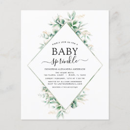 Budget Baby Shower Sprinkle Eucalyptus Geometric