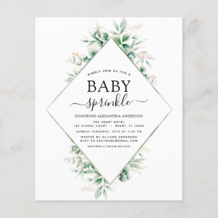 Budget Baby Shower Sprinkle Eucalyptus Geometric