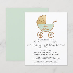 Budget Baby Sprinkle Mint Körstol Invitation