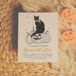 Budget Black Cat Halloween Pumpkin-Födelsedagsfest