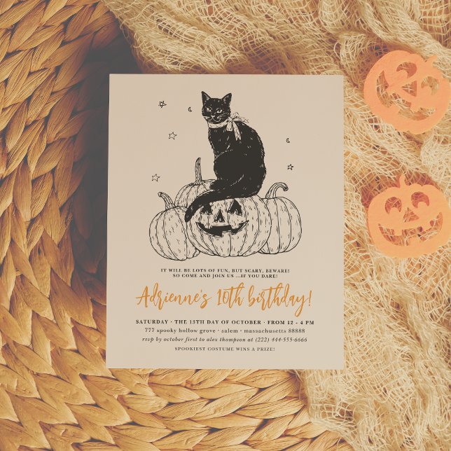 Budget Black Cat Halloween Pumpkin-Födelsedagsfest (Skapare uppladdad)