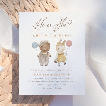 Budget Boho Woodland Animals Köns Avslöjande