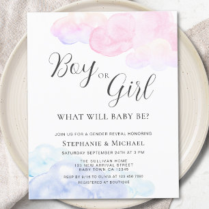Budget Boy eller Girl Gender Reveal Party Inbjudan