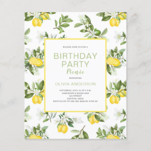 Budget Citrus Birthday Picnic-inbjudan Flygblad
