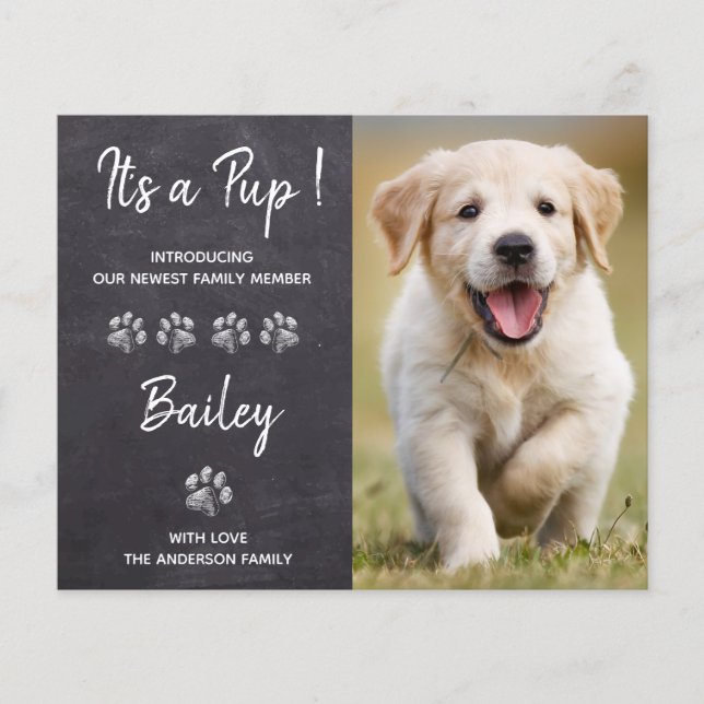 Budget Det är ett meddelande om en ny Valp för Hun (Framsida)