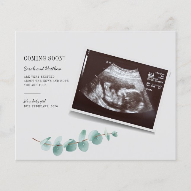 Budget Eucalyptus Botaniska Graviden Baby Reveal (Framsida)