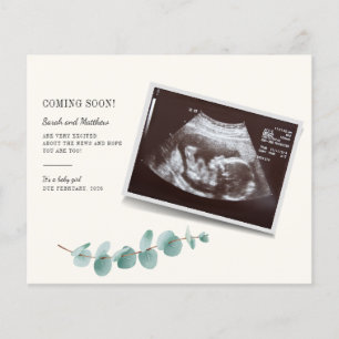 Budget Eucalyptus Foliage Gravid Baby Reveal