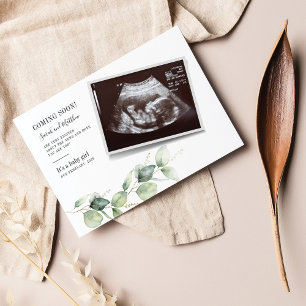 Budget Eukalyptus Graviditets Baby Köns Avslöjande