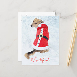Budget Flytta Jul Hund i Cute Red Santa Kostym Vykort
