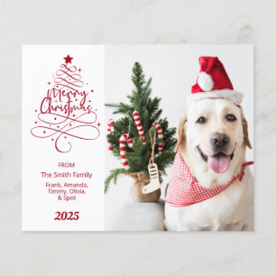 Budget Gläd dig jul Foto