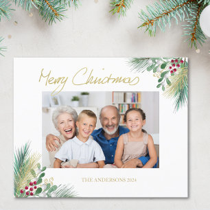 Budget Guldbärsfoto jul