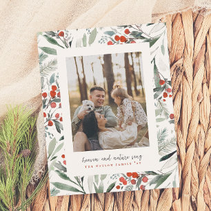 Budget Heaven Nature Sjunga jul Photo Helgdag