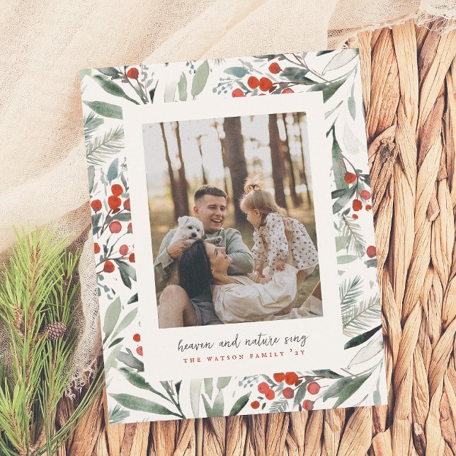 Budget Heaven Nature Sjunga jul Photo Helgdag (Skapare uppladdad)