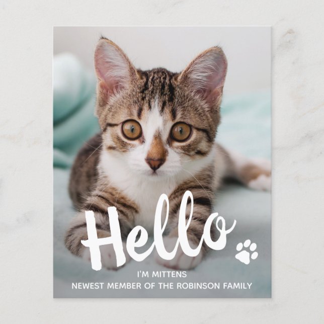 Budget Hej New Pet Photo Kitten Cat Notice (Framsida)