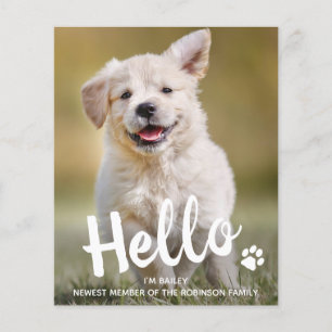 Budget Hej New Pet Photo Puppy Hund Notice