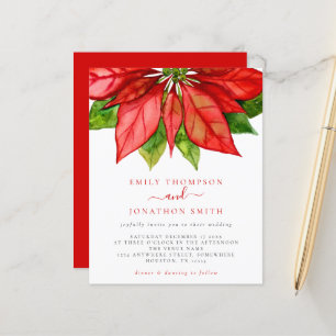 Budget jul Bröllop Large Red Poinsettia