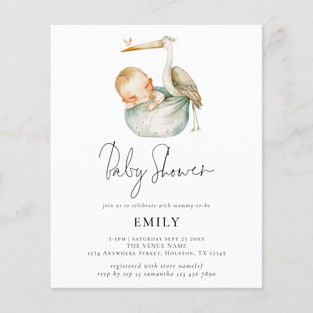 Budget Modern Script Cute Stork and Baby Shower (Framsida)