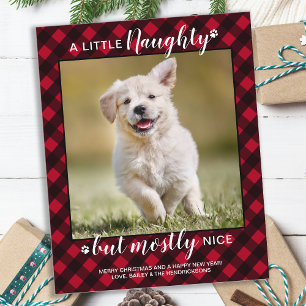 Budget Naughty Nice Pet Photo Red Play Helgdag
