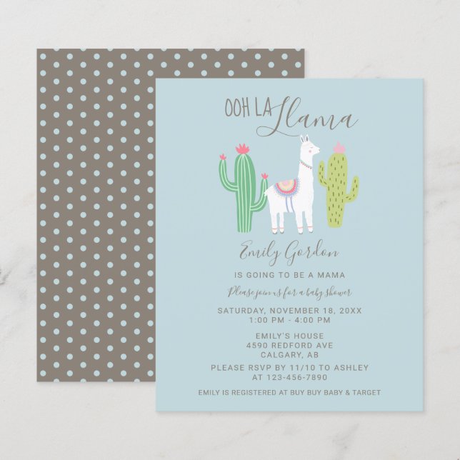 Budget Oh La Llama Baby Shower söt blå och brun (Fram/baksida)