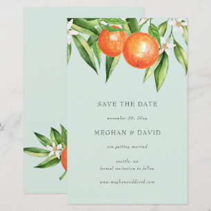 Budget Orange Blossoms Citrus Spara datum