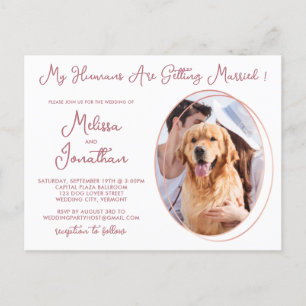 Budget Pet Photo Ro Guld bröllopsinbjudan Vykort