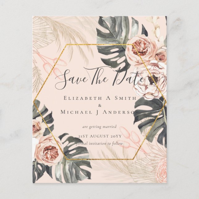 BUDGET Photo Spara Data PAMPAS Coral Tropical Flygblad (Framsidan)