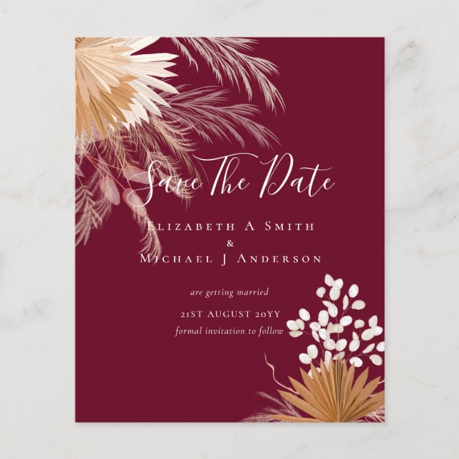 BUDGET Photo Spara Data PAMPAS Grass Terracotta Flygblad (Framsidan)