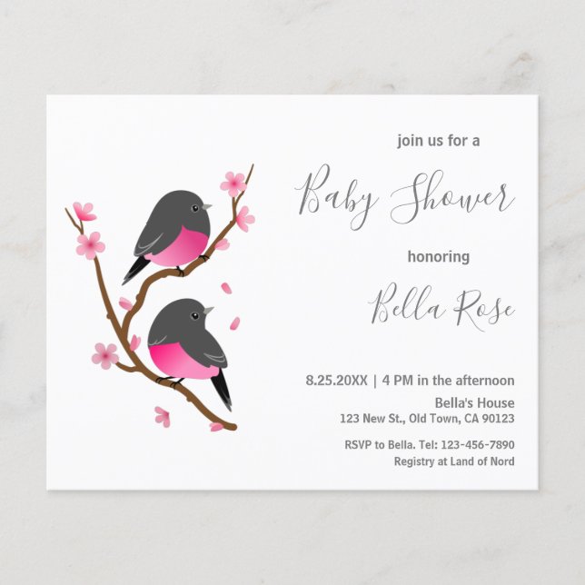 Budget Rosa Robin Bird Baby Shower-inbjudan (Framsida)