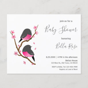 Budget Rosa Robin Bird Baby Shower-inbjudan