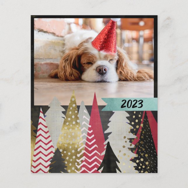 Budget Rött Svart Foto  (Framsida)