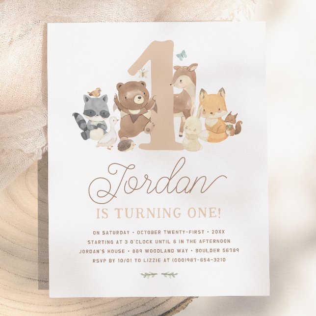Budget Skogslevande Djur Första Födelsedagsfest (Skapare uppladdad)
