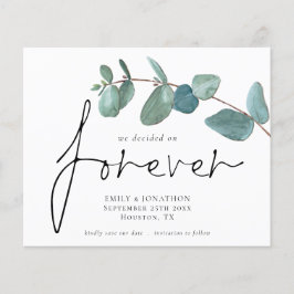 Budget som vi beslutade om för EucalyptUS Spara Da