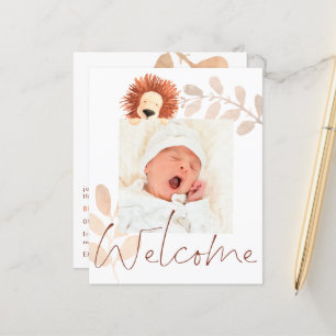 Budget Söt Lejon Baby Foto Födelse Tillkännagivand