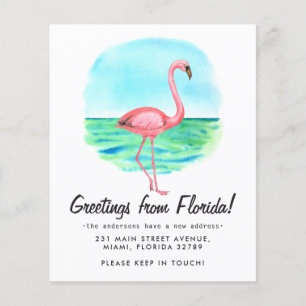 Budget Tropical Flamingo Flyttat Ny adress Flytta