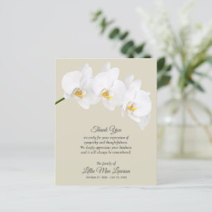 Budget White Orchid Funeral Memorial Tack