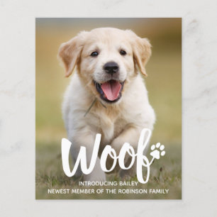 Budget Woof Photo Puppy Hund New Pet-meddelande