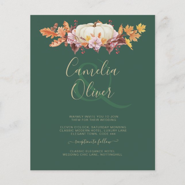 BUDGETEN - allt-i-1-sammanbrott - Pumpkin Grönt Gu Flygblad (Framsidan)